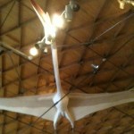 Pterosaur, Museum of the Big Bend, Alpine